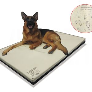 Cama Colchoneta Para Mascota Lavef 100x67cm Impermeable Cama Perro Color Crema